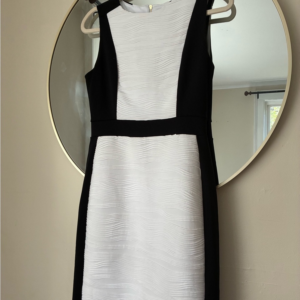Calvin Klein Black & White Dress with Gold Zipper